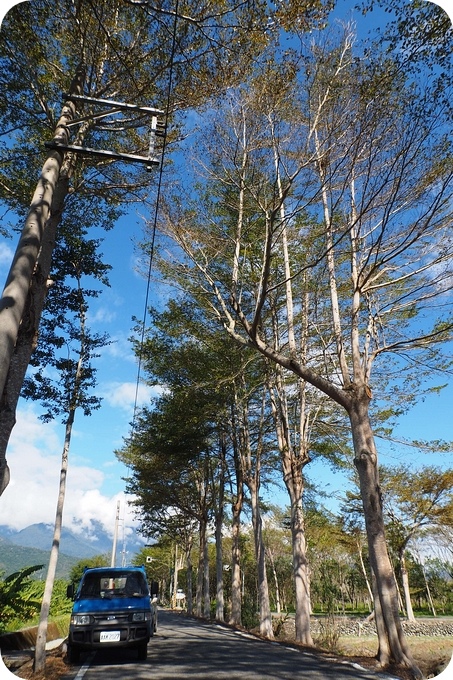 台東鹿野一日遊，帶你拍玩附近景點，小葉欖仁綠色走廊，「利吉惡地」拍出荒蕪蒼茫美感 ，全國最小房屋，瑞和車站追火車！ @捲捲頭 ♡ 品味生活