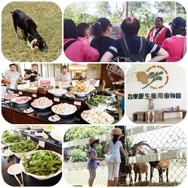 台東》原生應用植物園。超可愛動物朋友集合啦！駝鳥、羊咩咩陪你跑，還有百草菇菇鍋吃到飽！ @捲捲頭 ♡ 品味生活