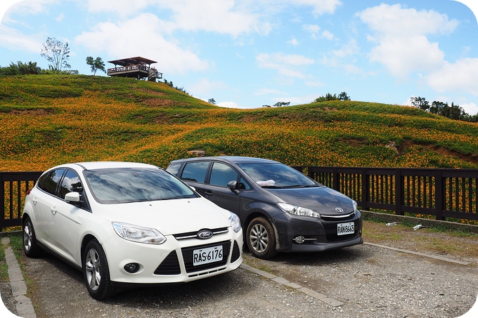 【租車推薦】AVIS安維斯 花蓮租車 + Ford Focus 初駕心得 @捲捲頭 ♡ 品味生活