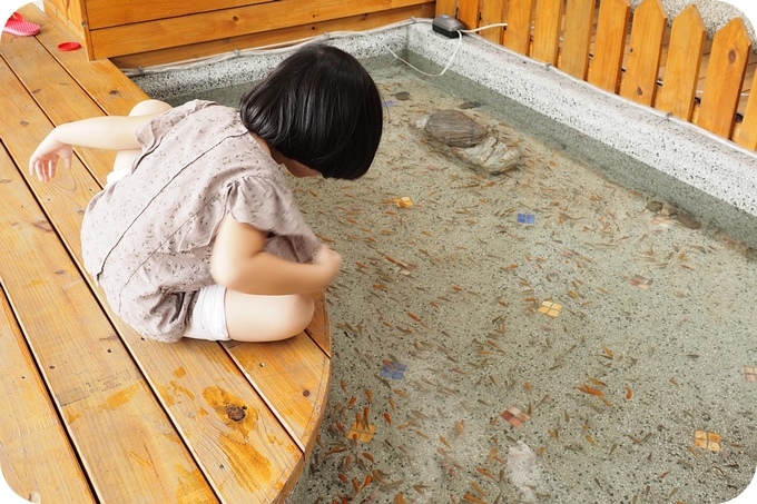 【花蓮親子民宿】漫步花園民宿！輕鬆逛鯉魚潭紅面番鴨，慶修院與南華菸樓▋捲捲頭粉絲 可享平日八折，假日九折的優惠喔！▋ @捲捲頭 ♡ 品味生活