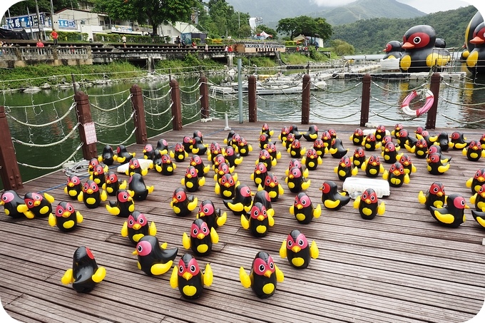 【花蓮親子民宿】漫步花園民宿！輕鬆逛鯉魚潭紅面番鴨，慶修院與南華菸樓▋捲捲頭粉絲 可享平日八折，假日九折的優惠喔！▋ @捲捲頭 ♡ 品味生活