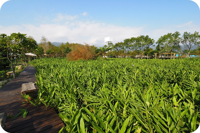 宜蘭農場》勝洋水草「幸福藻球 釣魚樂」+花泉農場「水上盪鞦韆」 @捲捲頭 ♡ 品味生活