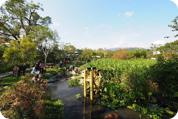 ▋宜蘭景點 ▋花泉有機休閒農場。好玩的跳跳池‼能撈魚，摸蜆，捉小蝦做生態瓶，還有超沁涼的湧泉上盪鞦韆！ @捲捲頭 ♡ 品味生活