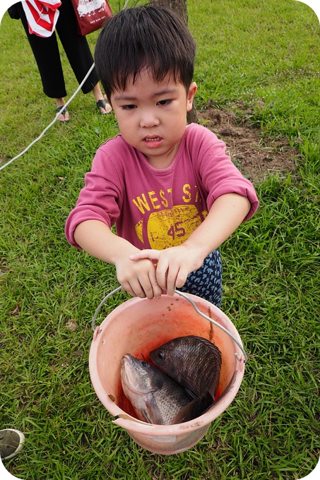 【宜蘭橫山頭農場】獨特的漂流木DIY + 撈魚體驗，&#8221;蘭城花事&#8221; 農場 @捲捲頭 ♡ 品味生活