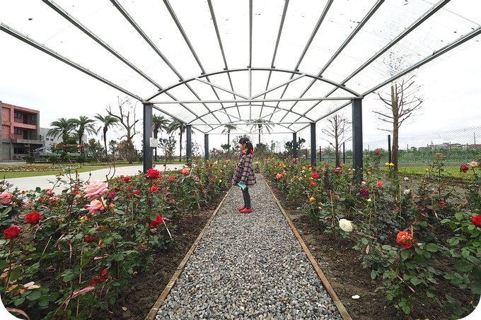 【宜蘭親子景點】玫瑰花、櫻花百花齊放＋升級版的療癒系多肉植物 DIY，慢活在惠欣綠花園！！！ @捲捲頭 ♡ 品味生活