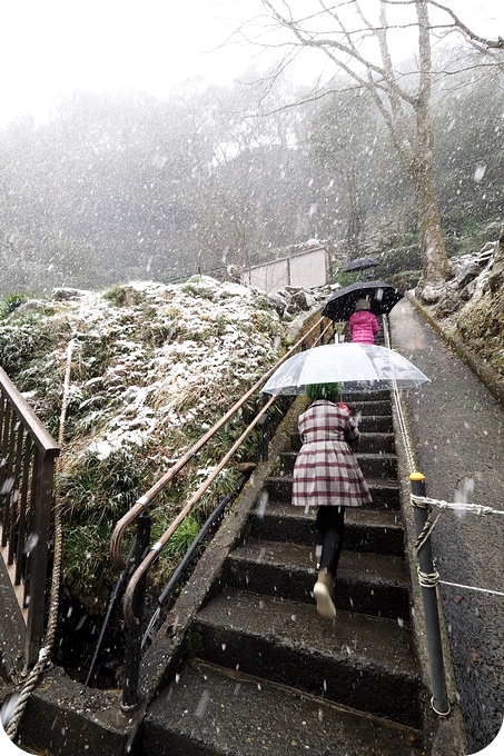 【南九州景點】高千穗峽，走進仙境峽谷，還能在瀑布旁划船～ @捲捲頭 ♡ 品味生活