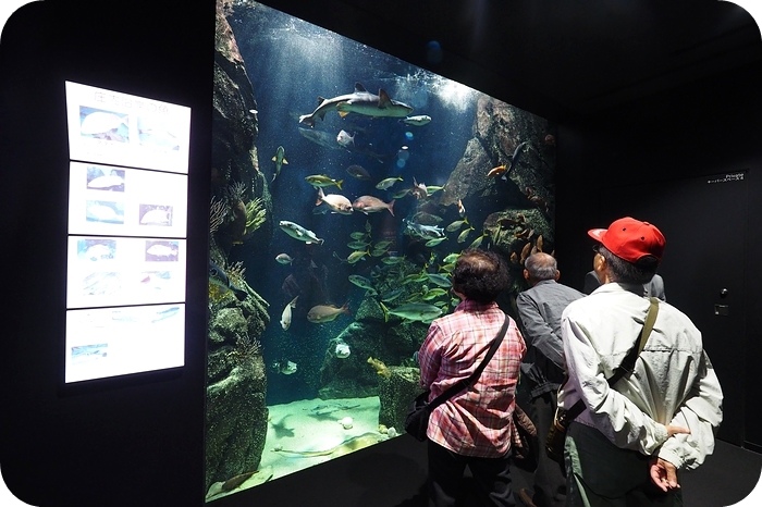 日本山形加茂水族館，看見波妞！就在日本山形縣鶴岡加茂水族館，超療癒的感受～ @捲捲頭 ♡ 品味生活