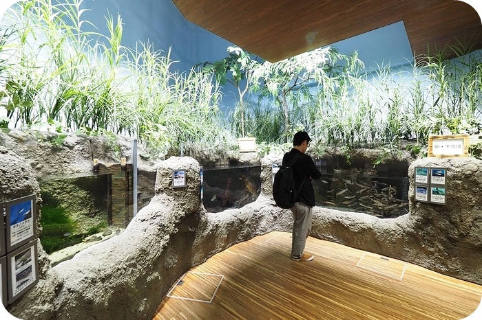 日本山形加茂水族館，看見波妞！就在日本山形縣鶴岡加茂水族館，超療癒的感受～ @捲捲頭 ♡ 品味生活