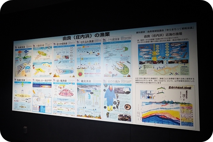 日本山形加茂水族館，看見波妞！就在日本山形縣鶴岡加茂水族館，超療癒的感受～ @捲捲頭 ♡ 品味生活