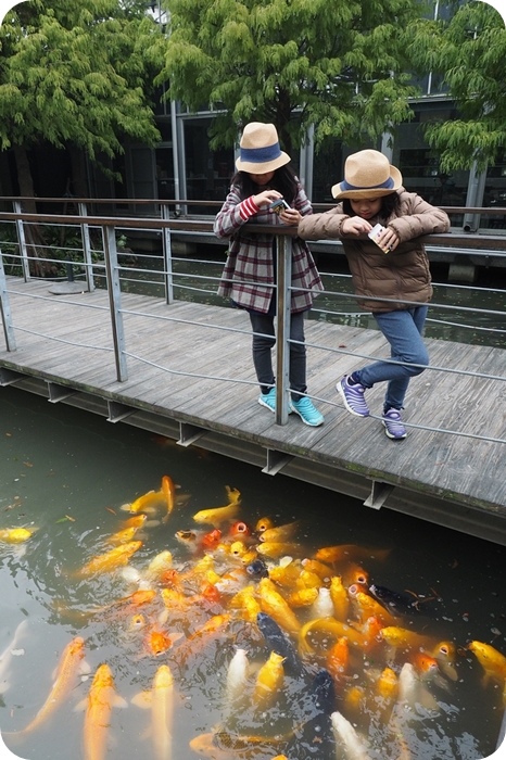 嘉義【板陶窯交趾剪黏工藝園區】貓咪站長進站囉！有沙坑、小火車，彩繪DIY，餵魚，快來貓咪車站打卡囉！ @捲捲頭 ♡ 品味生活