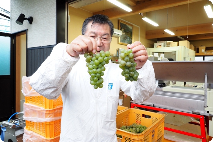 ▋日本山形 ▋享受大地的恩賜，體會人情味十足的好地方。再訪水果王國山形！ @捲捲頭 ♡ 品味生活