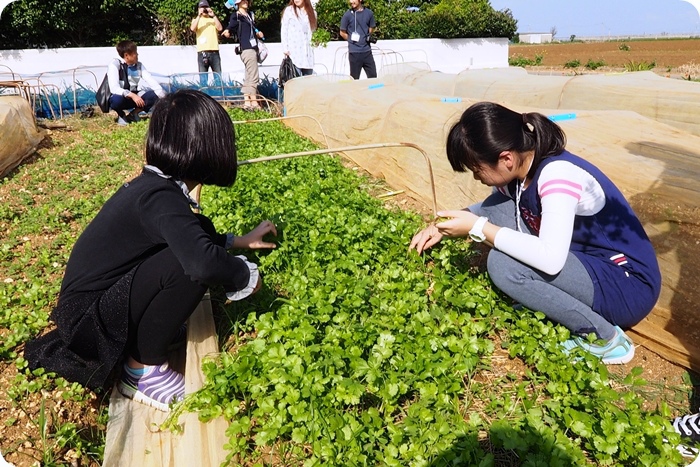 ▋沖繩伊江島 ▋日本沖繩跳島旅行，伊呀撒撒！最近的離島，上山下海種田捕魚全包的沖繩伊江島 （上集）：地理環境與人情味 @捲捲頭 ♡ 品味生活