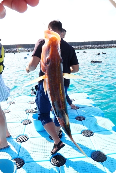 ▋沖繩伊江島 ▋日本沖繩跳島旅行，伊呀撒撒！！！最近的離島，上山下海種田捕魚全包的沖繩伊江島 （下集）：不一樣的海島活動體驗 @捲捲頭 ♡ 品味生活