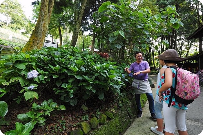 台中新社薰衣草森林》森林探索家到森林聽樹木流水聲，焦糖烤水果，體驗好玩的手做DIY活動！ @捲捲頭 ♡ 品味生活