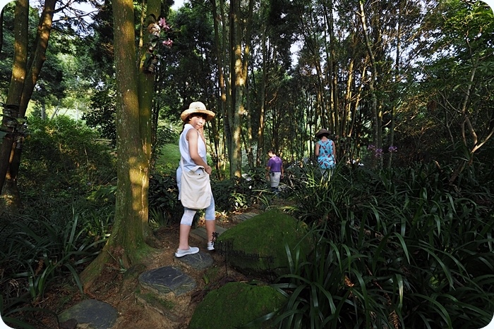 台中新社薰衣草森林》森林探索家到森林聽樹木流水聲，焦糖烤水果，體驗好玩的手做DIY活動！ @捲捲頭 ♡ 品味生活