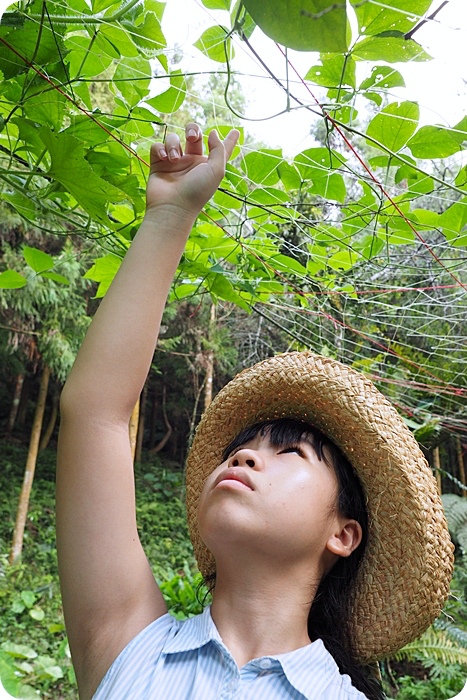 台中新社薰衣草森林》森林探索家到森林聽樹木流水聲，焦糖烤水果，體驗好玩的手做DIY活動！ @捲捲頭 ♡ 品味生活