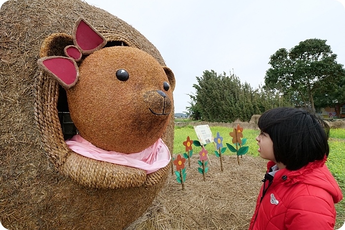 富里稻草藝術節，現身田野間的稻草動物園！超狂六米高銀背猩猩，巨型松鼠，黃金山豬。快來拍一波！！！ @捲捲頭 ♡ 品味生活