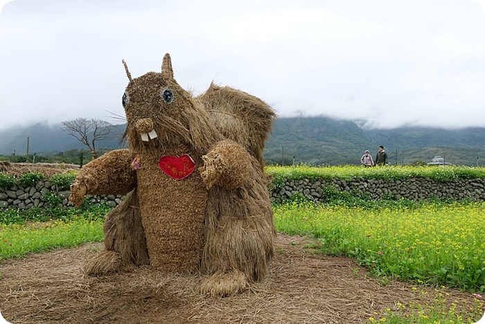 富里稻草藝術節，現身田野間的稻草動物園！超狂六米高銀背猩猩，巨型松鼠，黃金山豬。快來拍一波！！！ @捲捲頭 ♡ 品味生活