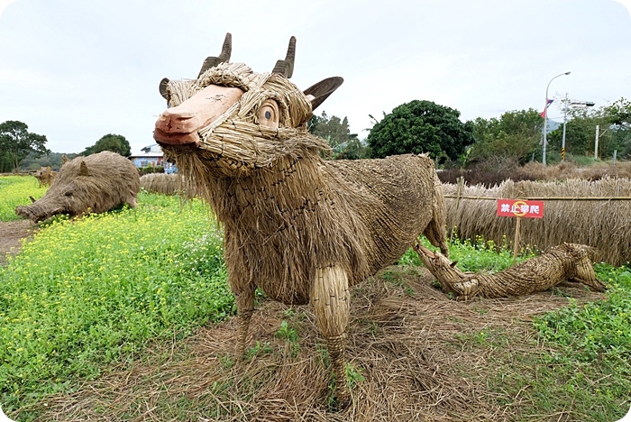 富里稻草藝術節，現身田野間的稻草動物園！超狂六米高銀背猩猩，巨型松鼠，黃金山豬。快來拍一波！！！ @捲捲頭 ♡ 品味生活