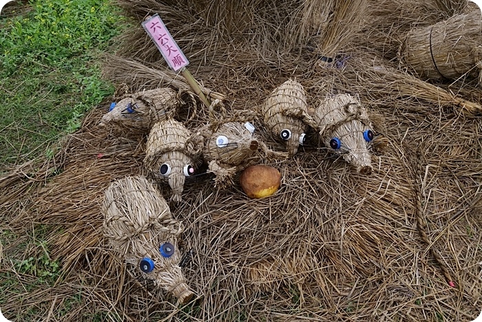 富里稻草藝術節，現身田野間的稻草動物園！超狂六米高銀背猩猩，巨型松鼠，黃金山豬。快來拍一波！！！ @捲捲頭 ♡ 品味生活