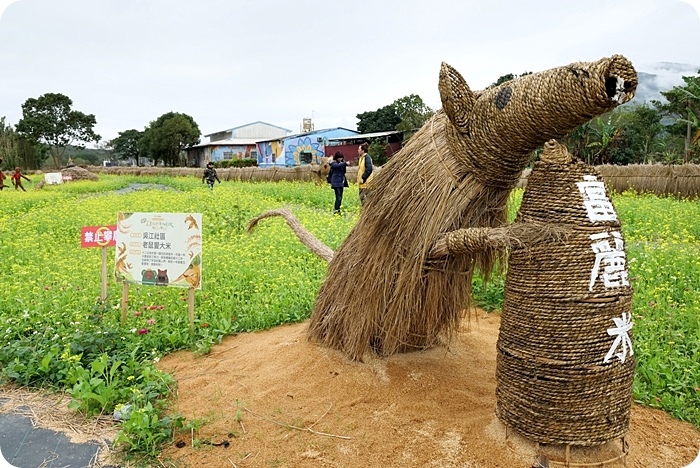 富里稻草藝術節，現身田野間的稻草動物園！超狂六米高銀背猩猩，巨型松鼠，黃金山豬。快來拍一波！！！ @捲捲頭 ♡ 品味生活