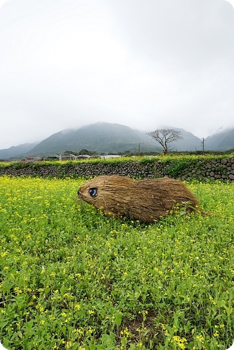 富里稻草藝術節，現身田野間的稻草動物園！超狂六米高銀背猩猩，巨型松鼠，黃金山豬。快來拍一波！！！ @捲捲頭 ♡ 品味生活