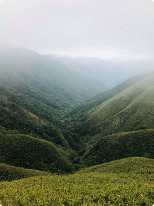 抺茶山| 攻頂有著抺茶景色的一日郊山！爆汗的美景，越走越精彩 @捲捲頭 ♡ 品味生活