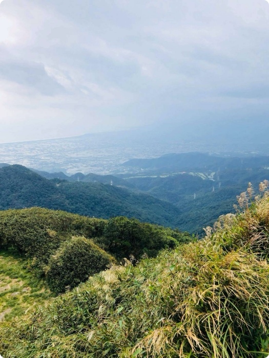 抺茶山| 攻頂有著抺茶景色的一日郊山！爆汗的美景，越走越精彩 @捲捲頭 ♡ 品味生活