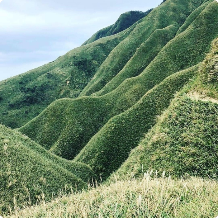 抺茶山| 攻頂有著抺茶景色的一日郊山！爆汗的美景，越走越精彩 @捲捲頭 ♡ 品味生活