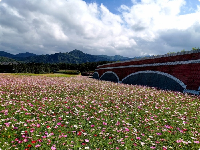 台東鹿野一日遊，帶你拍玩附近景點，小葉欖仁綠色走廊，「利吉惡地」拍出荒蕪蒼茫美感 ，全國最小房屋，瑞和車站追火車！ @捲捲頭 ♡ 品味生活