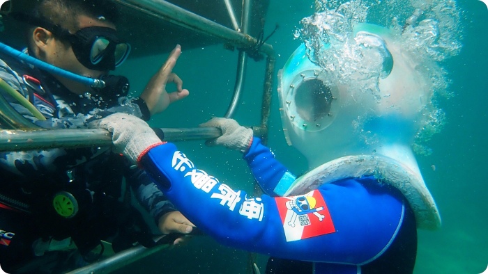 澎湖「黃金沒力號」海賊船，一起潛入海底漫步、餵熱帶魚、跟派大星拍照X海底郵筒寄明信片，還有超刺激的海上高空跳水！澎湖必玩特色體驗～ @捲捲頭 ♡ 品味生活