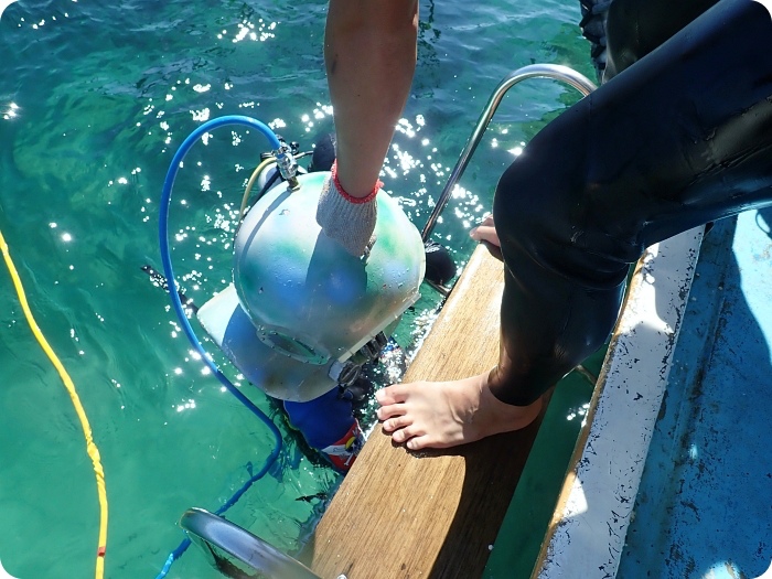 澎湖「黃金沒力號」海賊船，一起潛入海底漫步、餵熱帶魚、跟派大星拍照X海底郵筒寄明信片，還有超刺激的海上高空跳水！澎湖必玩特色體驗～ @捲捲頭 ♡ 品味生活