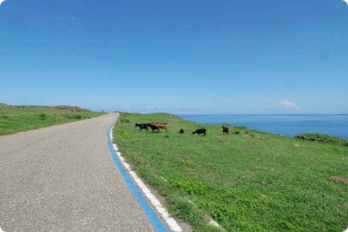 澎湖七美一日遊》七美機車環島（雙心石滬、小台灣、南嶼城），巡航東、西嶼坪嶼X海鷗餵食秀。 @捲捲頭 ♡ 品味生活