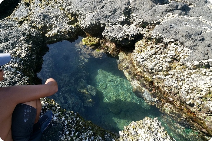 澎湖龍蝦島，搭頂級東海黑曼巴私人豪華遊艇行程。澎澎灘透明獨木舟、看小富士山、賞海鷗、抓龍蝦、無人島探險、吃現烤野生石蚵～ @捲捲頭 ♡ 品味生活