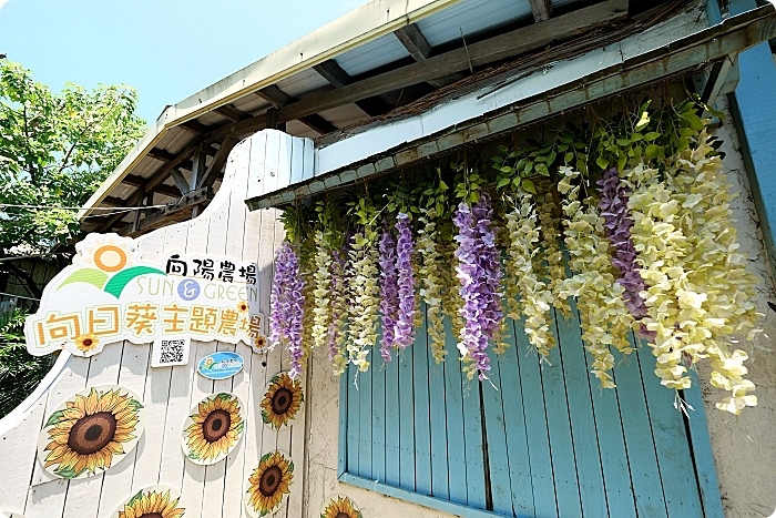 桃園景點⎮桃園一日遊推薦⎮向日葵迷宫、大王蓮體驗X水上蓮花鞦韆、IG打卡迷你版撒哈拉！ @捲捲頭 ♡ 品味生活