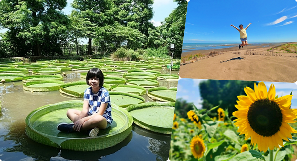 桃園景點⎮桃園一日遊推薦⎮向日葵迷宫、大王蓮體驗X水上蓮花鞦韆、IG打卡迷你版撒哈拉！ @捲捲頭 ♡ 品味生活