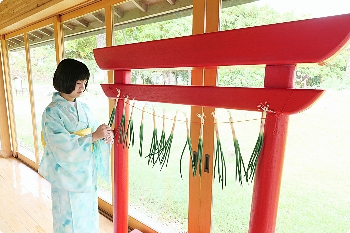 綠舞日式主題園區，超好拍日式造景庭園，能穿浴衣、忍者修鍊、手作春櫻和菓子，彷彿置身日本！ @捲捲頭 ♡ 品味生活