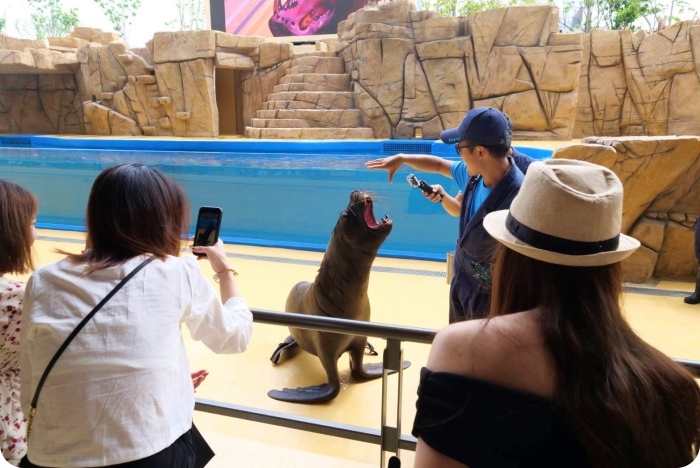 【Xpark水族館】7大亮點整理，開幕日、訂票資訊、票價、營業時間、夜宿水族館！ @捲捲頭 ♡ 品味生活